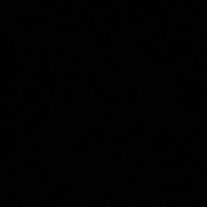 Meet your Posher, Joel